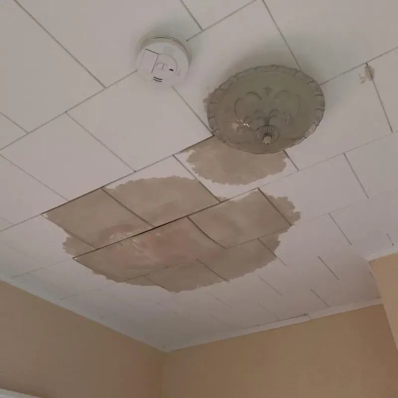 Ceiling Water Damage Repair in Ashwaubenon, WI
