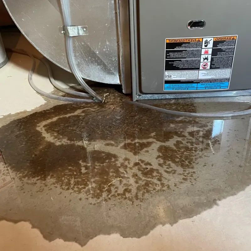 Pipe Burst and Leak Restoration in Ashwaubenon, WI